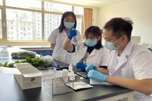 推廣應用快速檢測技術，筑牢農產品質量安全“最初一公里”防線